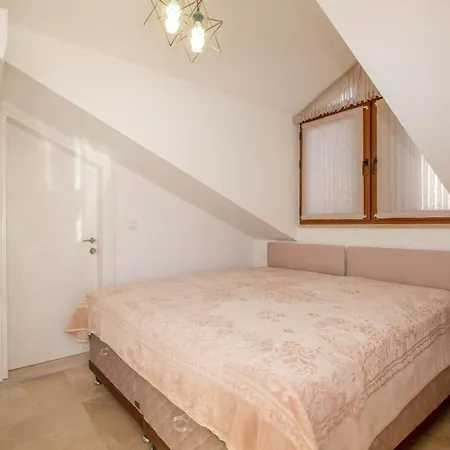 Appaloosa Properties *
